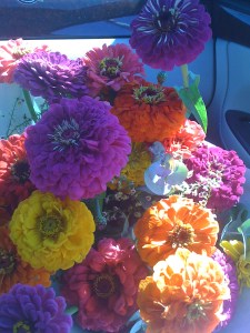 Be Intentional About What You Grow